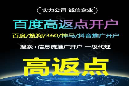 某品牌通过SEM优化实现品牌增长的故事
