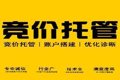 行业领先的SEM投放效果案例解析